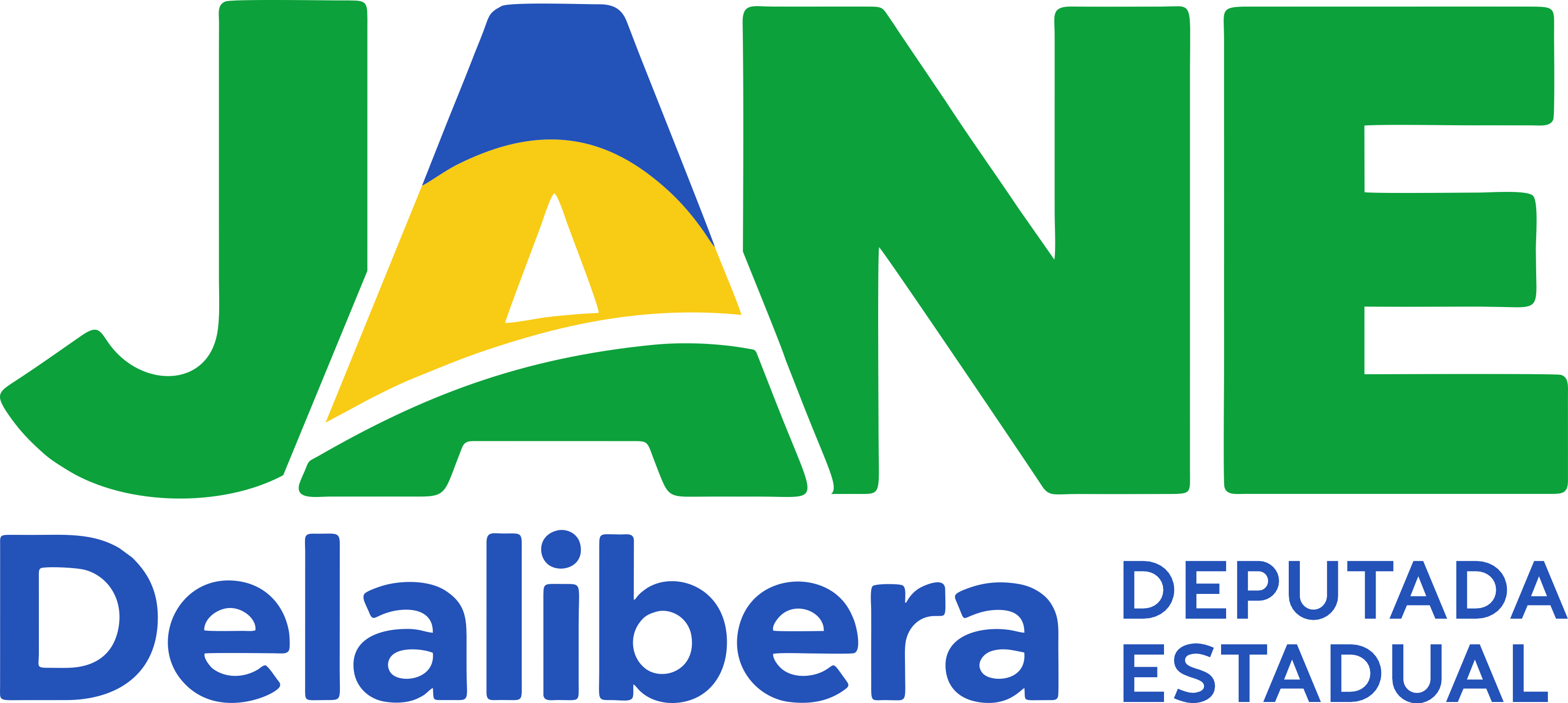 Jane Delalibera, Deputada Estadual